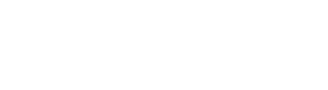 Seattle Outdoor Services logo