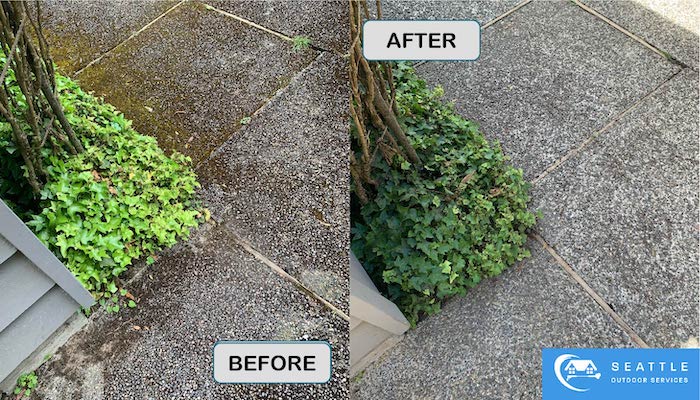 A before and after image of a river stone embedded path way being pressure washed.