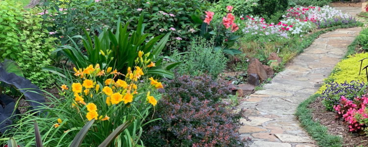 Image of a garden pathway with ground cover plants