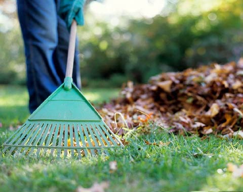 lawn care being taken care of